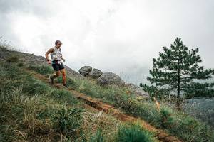 BIB: 
                            <button type="button" onclick="openModal(26019808)" class="btn btn-primary btn-sm float-right btn-popup" data-toggle="modal" data-target=".modal-high-quality">
                        <i class="fas fa-shopping-cart"></i> Add to Cart
                    </button>
                                            <button type="button" onclick="isThisMe(26019808, true)" class="btn btn-success btn-sm float-right btn-popup btn-isme hidden" data-toggle="tooltip" data-placement="bottom" title="นี่คือรูปของคุณใช่ไหม คลิกที่นี่เพื่อเอาเข้าอัลบั้ม">
                        <i class="fas fa-plus"></i> Add to album
                    </button>
                    <button type="button" onclick="isThisMe(26019808, false)" class="btn btn-warning btn-sm float-right btn-popup btn-isnotme hidden">
                        <i class="fas fa-ban"></i> Remove from album
                    </button>